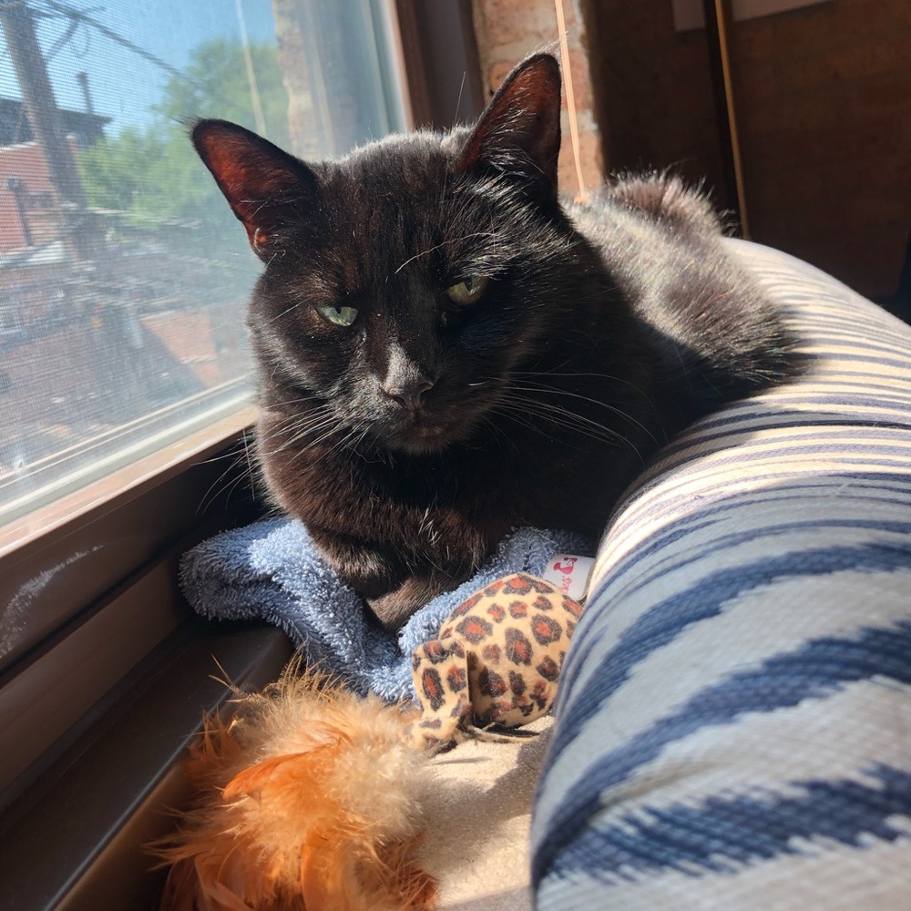 Meet your Posher, Christine